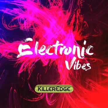 Enjoy Music Club ★自主製作CD-R★Vibes EP Enjoy Music Club ☆自主製作CD-R☆Vibes EP 邦楽
