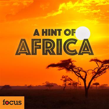 a hint of africa