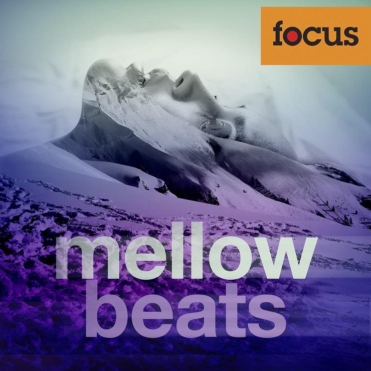その他 BASI AS MELLOW (849 MUSIC) 67242f3354ae4851add9e5159c128a