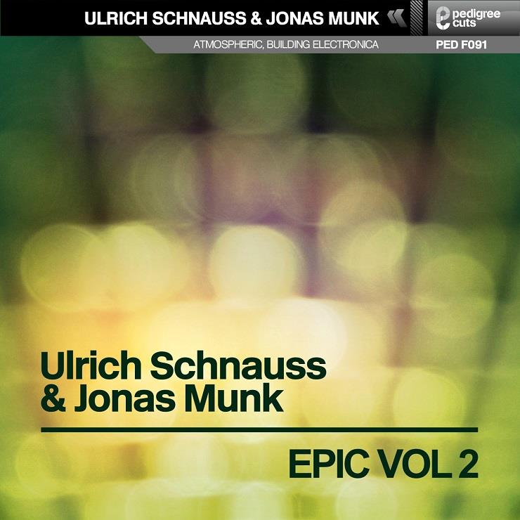 Ulrich Schnauss